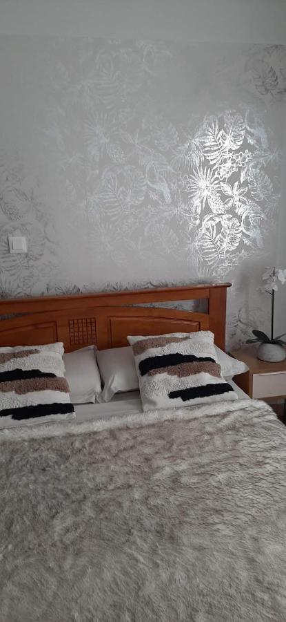 Kaz Papaye Daire Saint Pierre Dış mekan fotoğraf